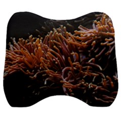 Sea Anemone Coral Underwater Ocean Sea Water Velour Head Support Cushion by Wegoenart