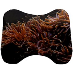 Sea Anemone Coral Underwater Ocean Sea Water Head Support Cushion by Wegoenart