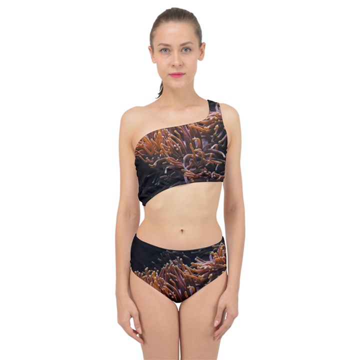 Sea Anemone Coral Underwater Ocean Sea Water Spliced Up Two Piece Swimsuit