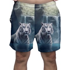 Tiger White Tiger Nature Forest Men s Shorts