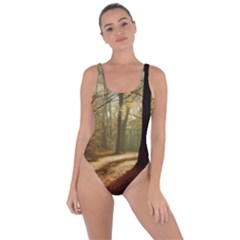 Autumn Nature Woodland Woods Trees Bring Sexy Back Swimsuit by Jancukart