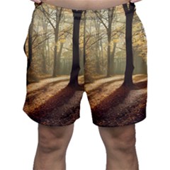 Autumn Nature Woodland Woods Trees Men s Shorts