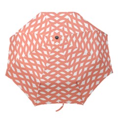 Lattice Iv Folding Umbrellas