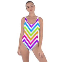 Bright Chevron Bring Sexy Back Swimsuit by GardenOfOphir