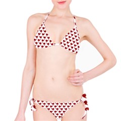 Pattern 271 Classic Bikini Set by GardenOfOphir