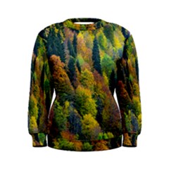 Forest Trees Leaves Fall Autumn Nature Sunshine Women s Sweatshirt