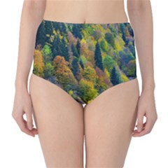 Forest Trees Leaves Fall Autumn Nature Sunshine Classic High-waist Bikini Bottoms by Ravend