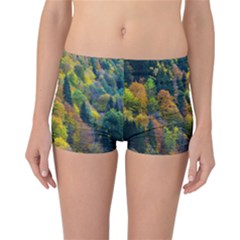 Forest Trees Leaves Fall Autumn Nature Sunshine Reversible Boyleg Bikini Bottoms