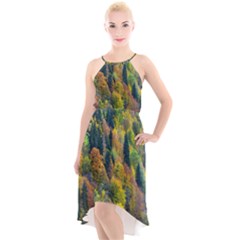 Forest Trees Leaves Fall Autumn Nature Sunshine High-low Halter Chiffon Dress  by Ravend