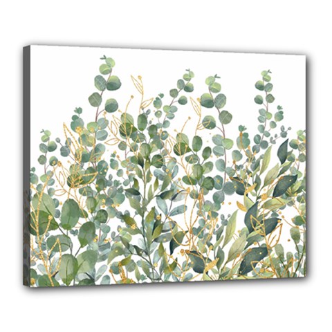 Gold And Green Eucalyptus Leaves Canvas 20  X 16  (stretched) by Jack14