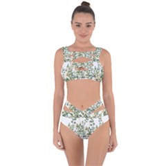 Gold And Green Eucalyptus Leaves Bandaged Up Bikini Set  by Jack14