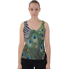Peacock Bird Feather Colourful Velvet Tank Top by Jancukart