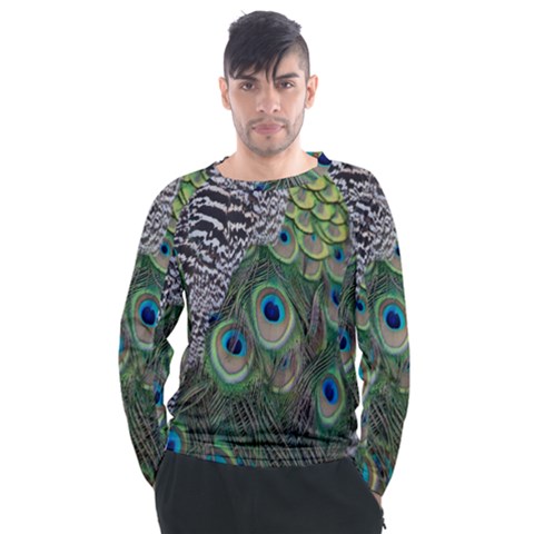 Peacock Bird Feather Colourful Men s Long Sleeve Raglan Tee by Jancukart