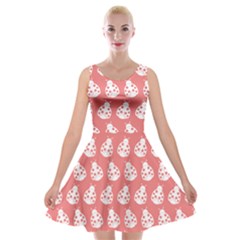 Coral And White Lady Bug Pattern Velvet Skater Dress