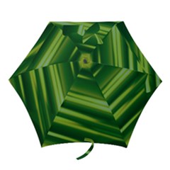 Green-01 Mini Folding Umbrellas by nateshop