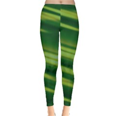 Green-01 Leggings 