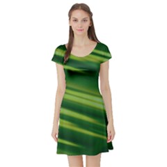 Green-01 Short Sleeve Skater Dress