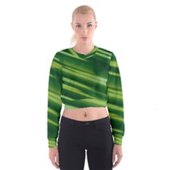 Green-01 Cropped Sweatshirt