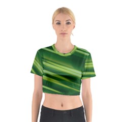 Green-01 Cotton Crop Top