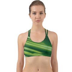 Green-01 Back Web Sports Bra