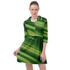 Green-01 Mini Skater Shirt Dress