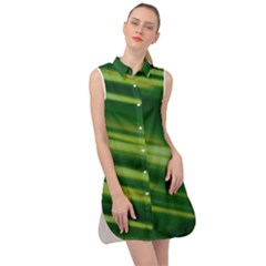 Green-01 Sleeveless Shirt Dress