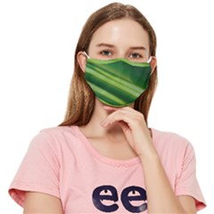 Green-01 Fitted Cloth Face Mask (Adult)