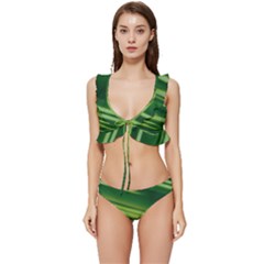 Green-01 Low Cut Ruffle Edge Bikini Set