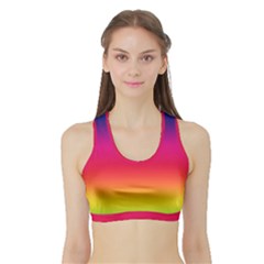 Spectrum Sports Bra With Border by nateshop