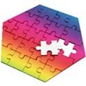 Spectrum Wooden Puzzle Hexagon View2