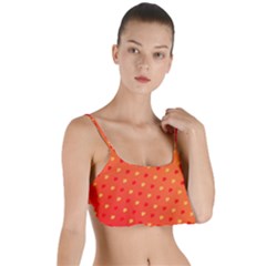 Background-108 Layered Top Bikini Top  by nateshop