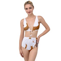 Animal Cat Pet Feline Mammal Tied Up Two Piece Swimsuit by Semog4