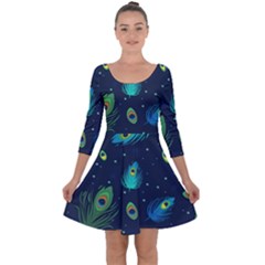 Blue Background Pattern Feather Peacock Quarter Sleeve Skater Dress