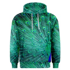 Green And Blue Peafowl Peacock Animal Color Brightly Colored Men s Overhead Hoodie by Semog4