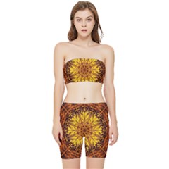 Abstract Gold Mandala Yellow Stretch Shorts And Tube Top Set by Semog4