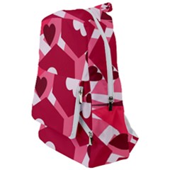 Pink-17 Travelers  Backpack