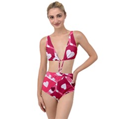 Pink-17 Tied Up Two Piece Swimsuit by nateshop