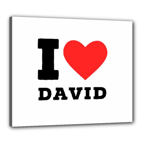 I Love David Canvas 24  X 20  (stretched) by ilovewhateva