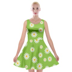 Daisy-flowers-floral-wallpaper Velvet Skater Dress by Semog4