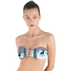 Rocky Mountain High Colorado Twist Bandeau Bikini Top by Amaryn4rt