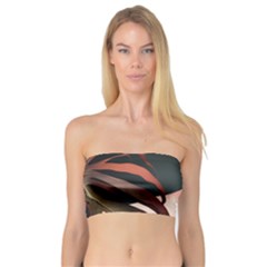 Leaves Foliage Plants Bandeau Top