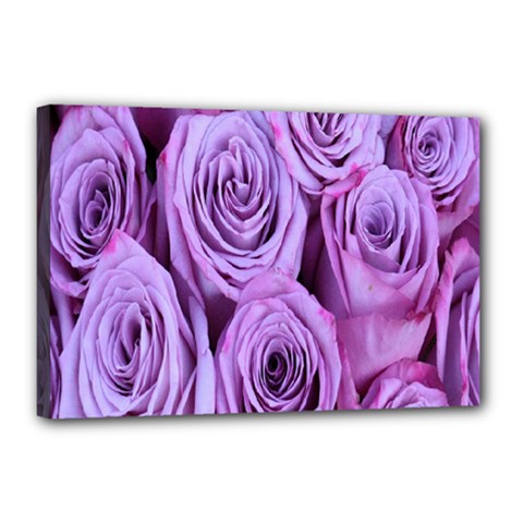 Roses-52 Canvas 18  X 12  (stretched)