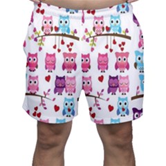 Owl Pattern Men s Shorts