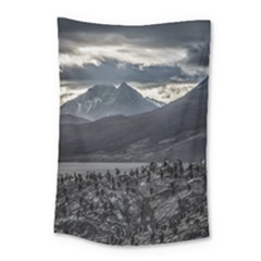 Nature s Symphony: A Portrait Of Ushuaia s Wild Beauty  Small Tapestry by dflcprintsclothing