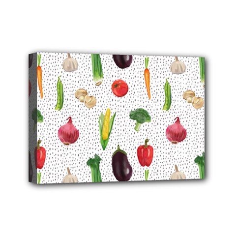 Vegetable Mini Canvas 7  x 5  (Stretched)