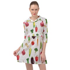 Vegetable Mini Skater Shirt Dress