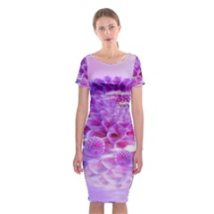 Dahlia Blossom Bloom Dahlias Fall Classic Short Sleeve Midi Dress by danenraven