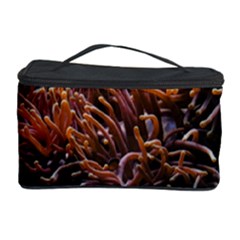 Sea Anemone Coral Underwater Ocean Sea Water Cosmetic Storage by pakminggu