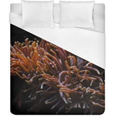 Sea Anemone Coral Underwater Ocean Sea Water Duvet Cover (california King Size) by pakminggu