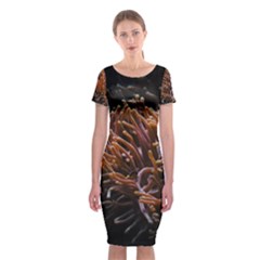 Sea Anemone Coral Underwater Ocean Sea Water Classic Short Sleeve Midi Dress by pakminggu